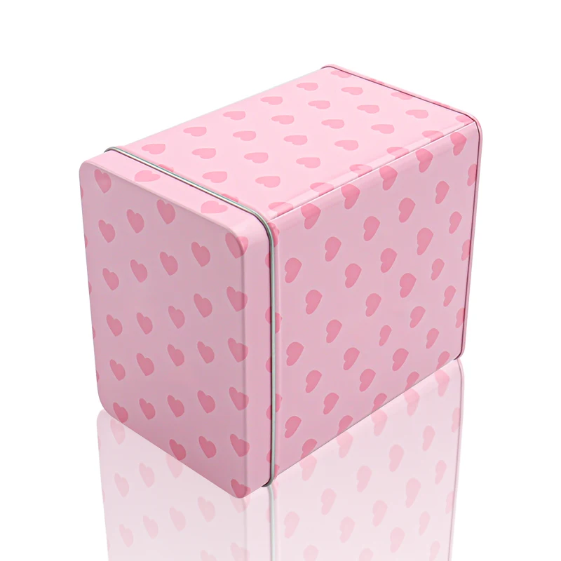 Chinese supplier new fashion rectangular cookies food tin container with lids empty cans