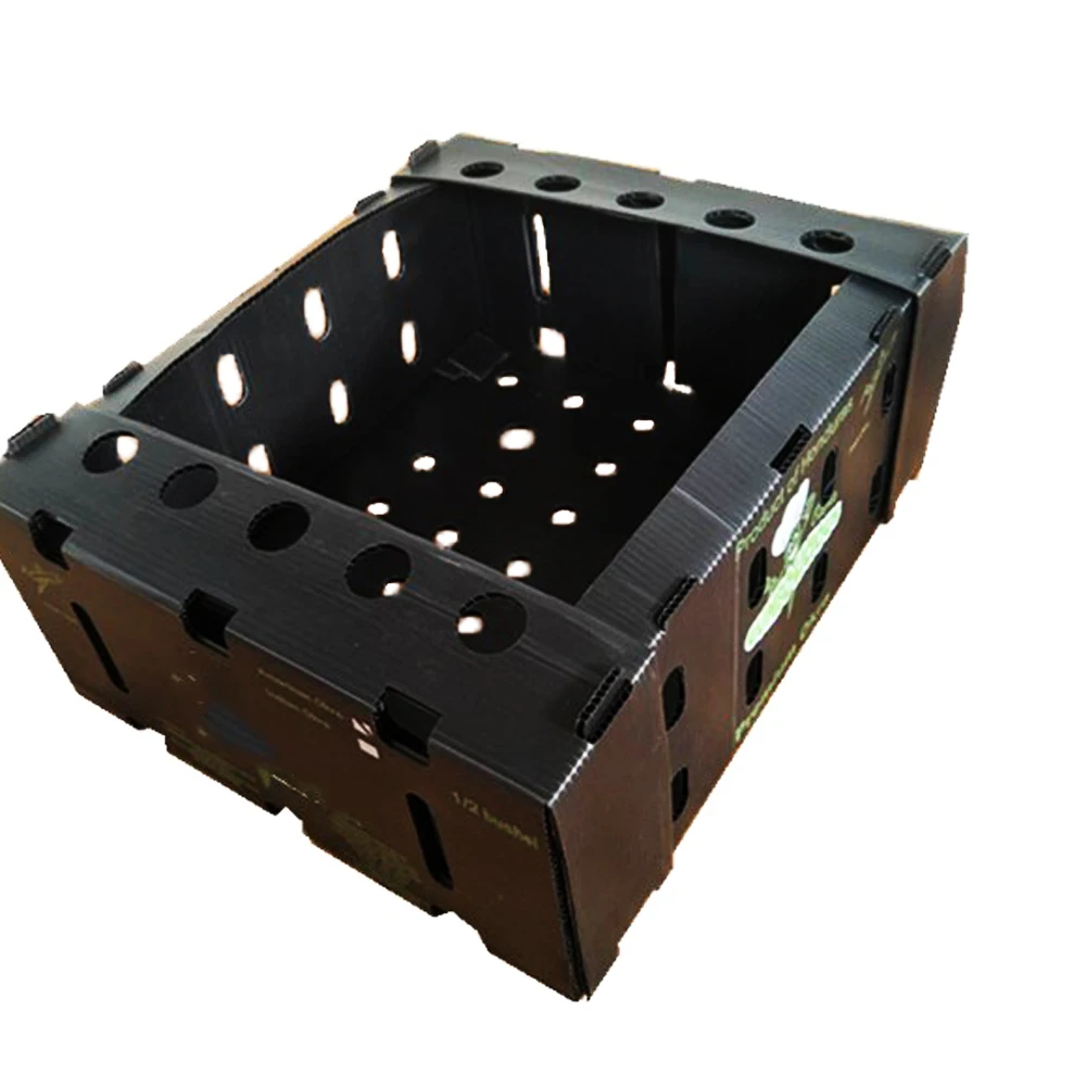Foldable PP Corrugated corflute Plastic Okra Box