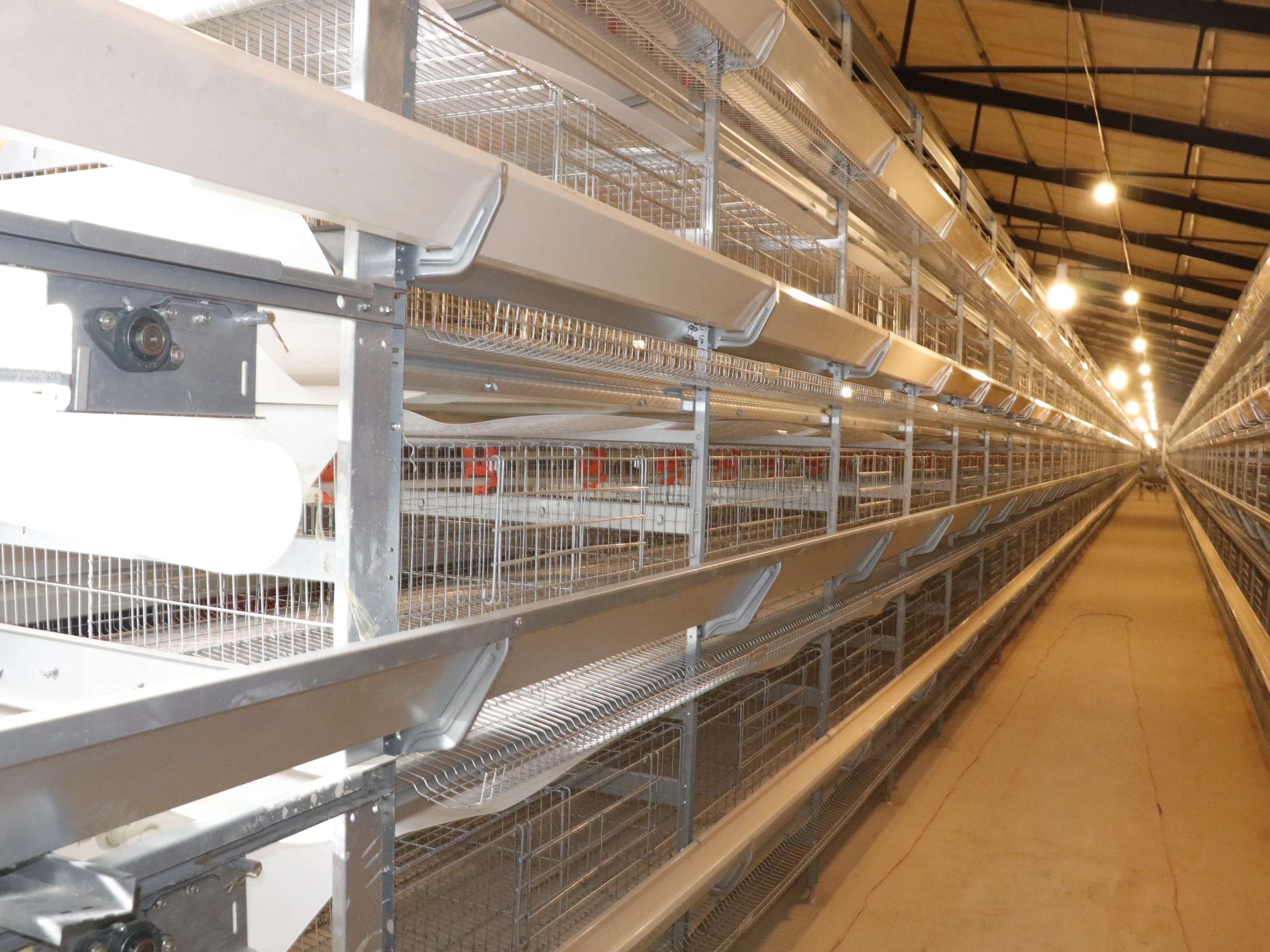 hen farm breeding automatic laying chicken cage system