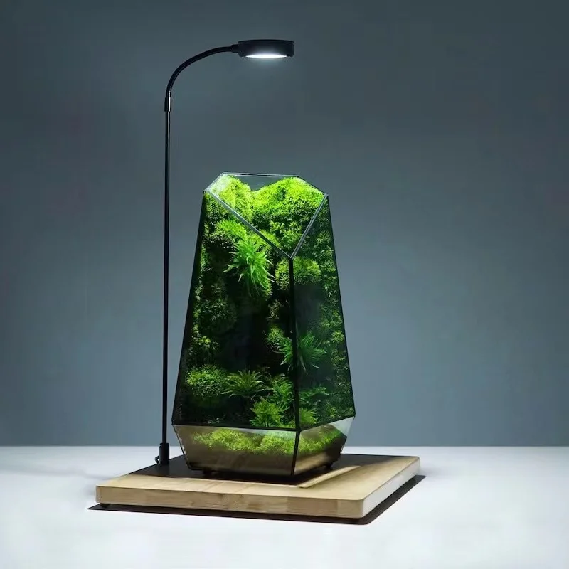 Wholesale Gift Box Artificial Plants Preserved Moss Placed in a Glass Cover