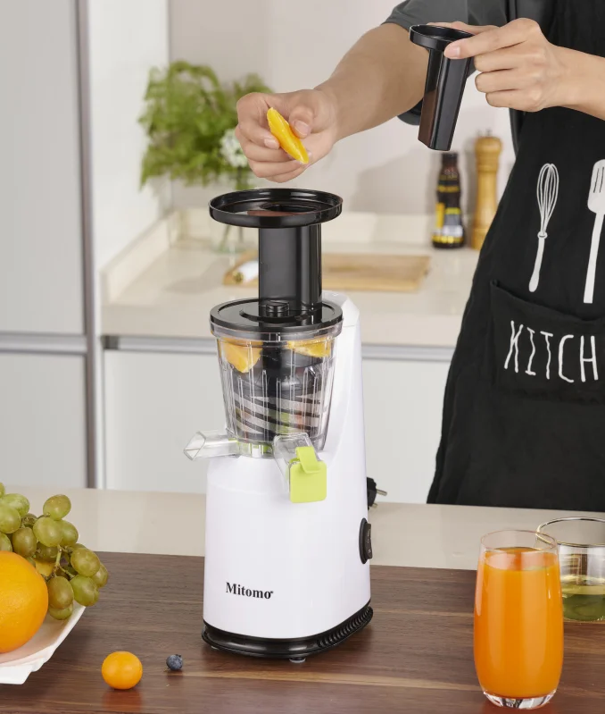 AJM-666 110V/220V 150W CE EMC RoHS slow juicer cold press and smoothie machine multifunction fruit Slow Juicer for home