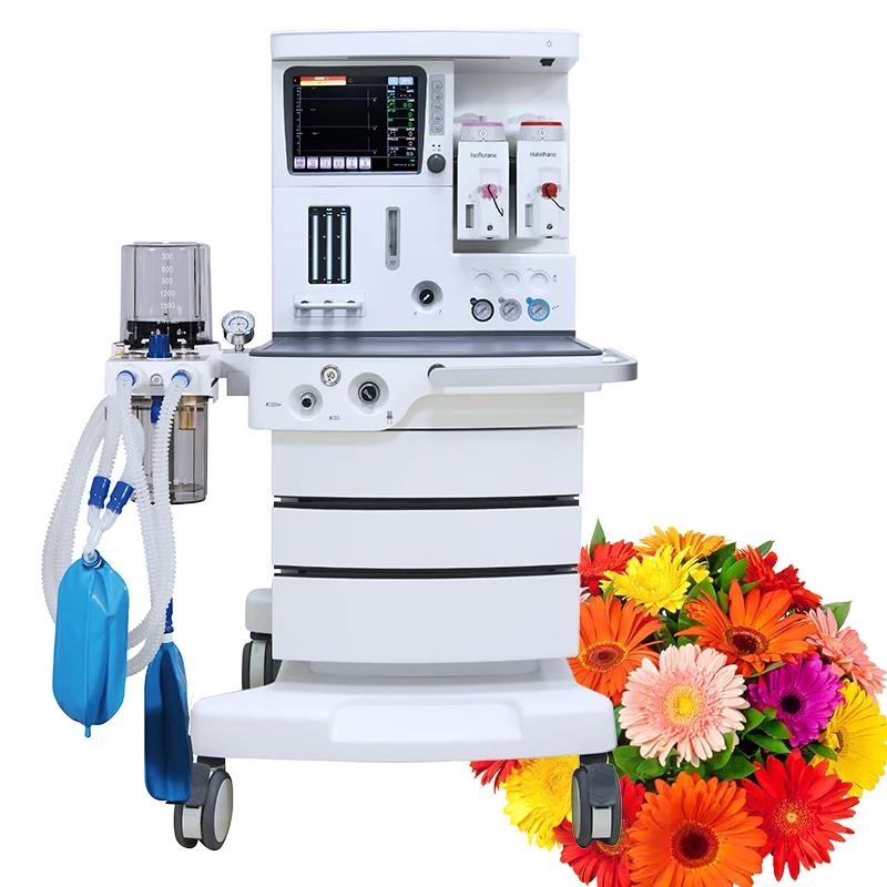 Multi-Function Medical Surgical Anesthesia Machine Anesthesia System