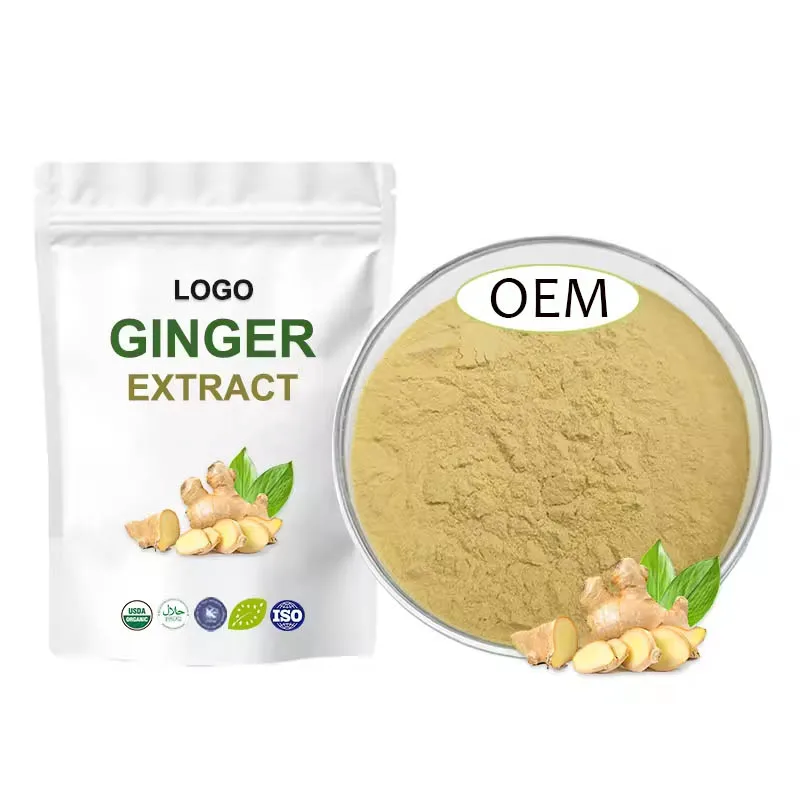 High Quality Pure Natural 100% Organic Ginger Powder Ginger Extract Powder For Cooking Or Herbal Use