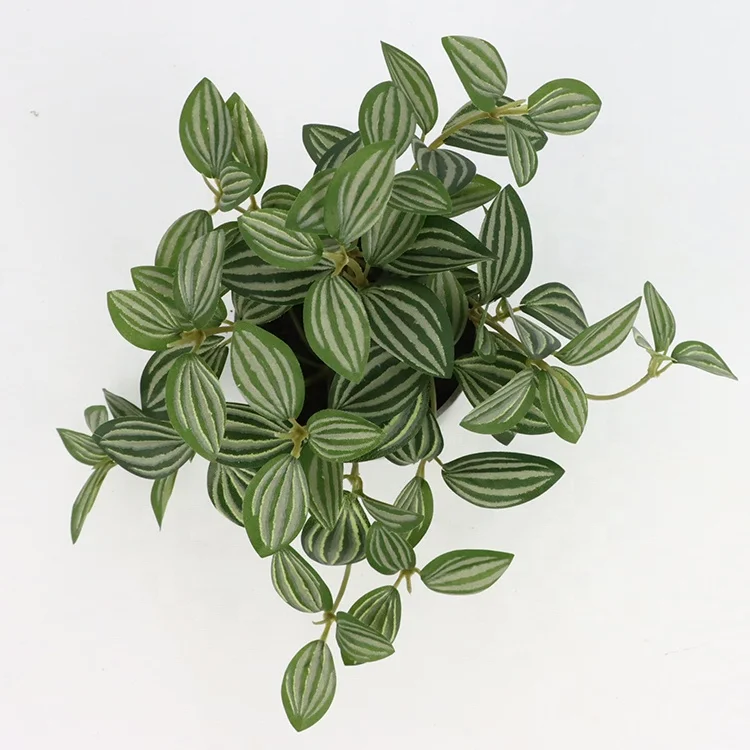 Simulate plastic decoration small bonsai artificial potted plants decoration 16cm Peperomia in melamine pot