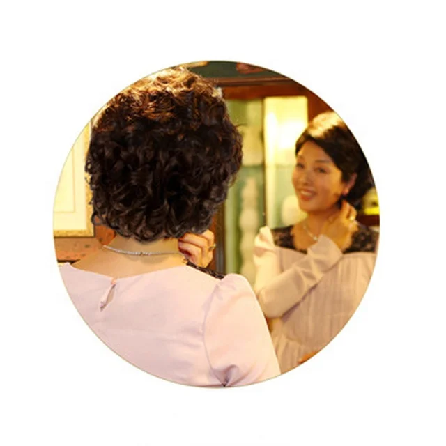 Manufacturers Wholesale Hot Sale Female Retro Short Curly Hair Studio Dish Hair Republic China Style Pulled Wigs