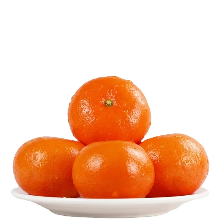 
Factory direct supply of citrus bulk fresh natural sweet fruit citrus price 