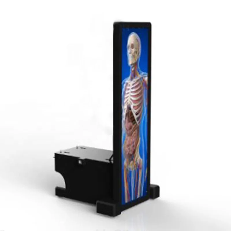 Цифровая анатомическая система человеческого тела, анатомический 3D стол для виртуального вскрытия для университета