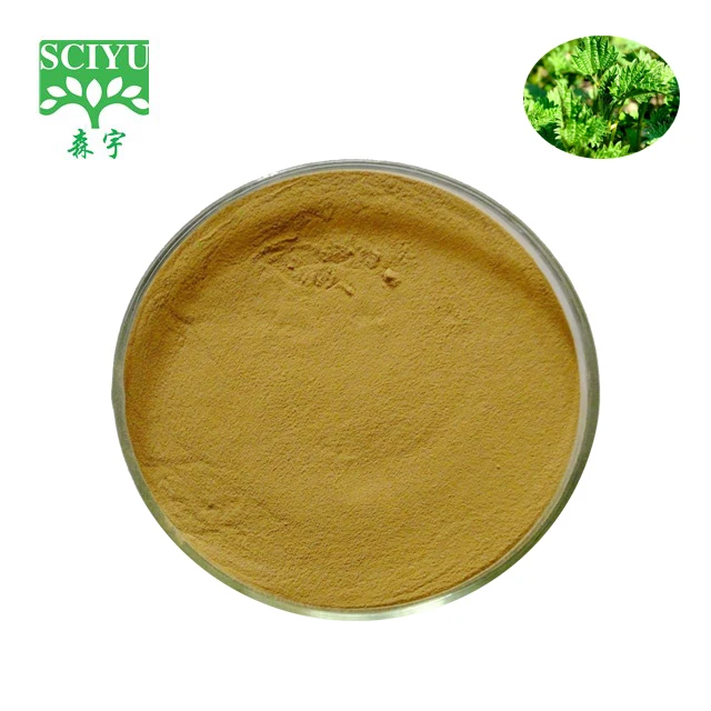 
Factory Supply Stinging Nettle Leaf extract powder 