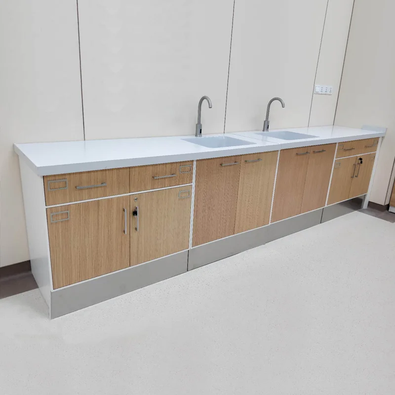 Hospital All Steel Laboratory Cabinets with Wall bench wall hanging cabinet lab workbench