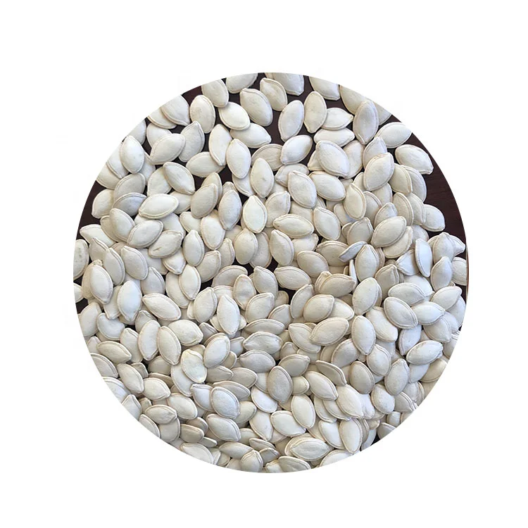 
Wholesale Best Quality Snow White Pumpkin Seeds Kernels Pumpkin Seeds in Bulk Price 
