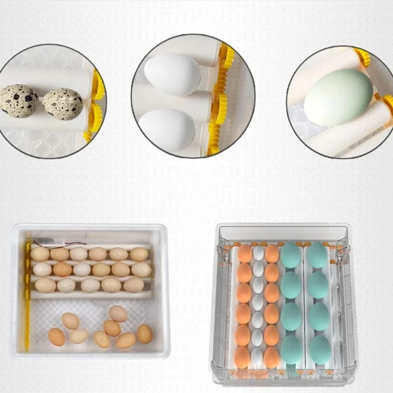 Eggs Incubator Brooder Bird Quail Chick Hatchery Incubator Poultry Hatcher Turner Automatic Farm Incubation Tools R1755
