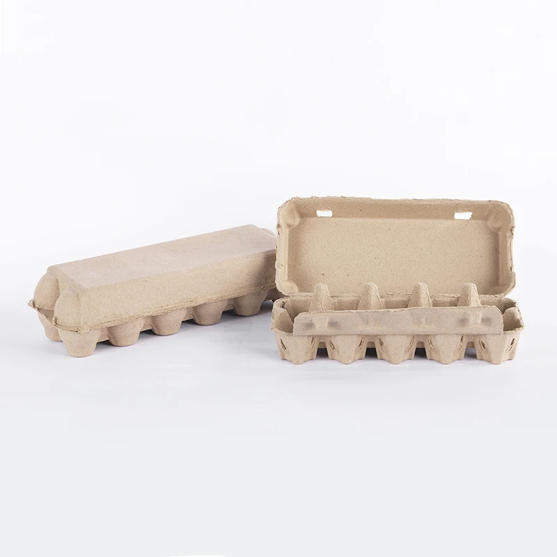 Recycle hot sale biodegradable bagasse pulp pepar chicken carton 12 20 holes egg tray