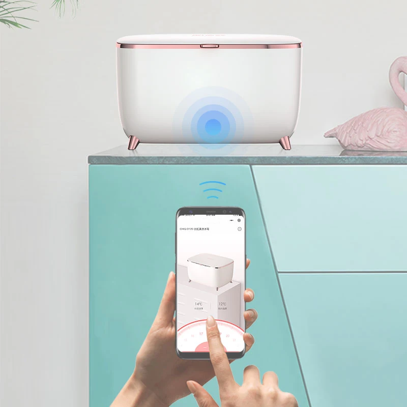 Factory Supply Mini Skincare Fridge 6L 10L Adjustable Hot Cold Eco Skin Care Beauty Fridge For Bathroom Home Car