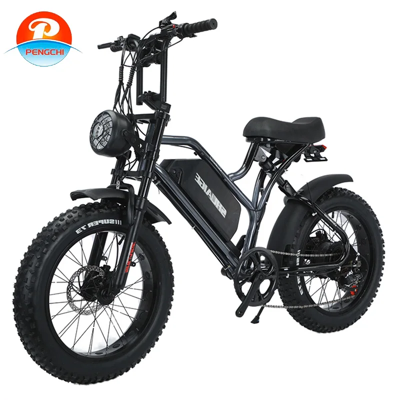 China factory OEM custom color bicicleta eletrica 2000w electric bike enduro ebike motor fatbike 20 inches