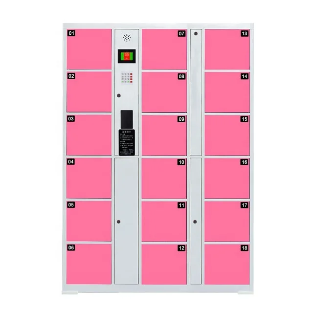 Customized Electronic Parcel Locker Smart Package Storage Cabinet Steel Digital Electronic System Smart Locker