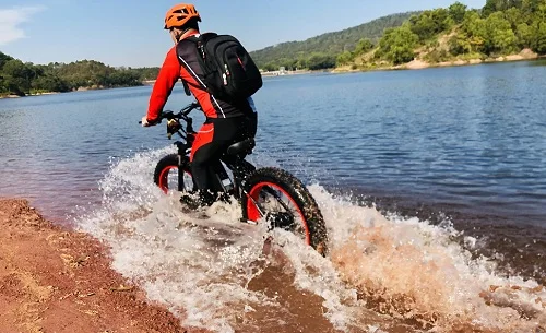 High Quality Bike Mountain Fat Tire electric bicycle 1000W 48v electric bike Good Price Ebike Electric Bicycle