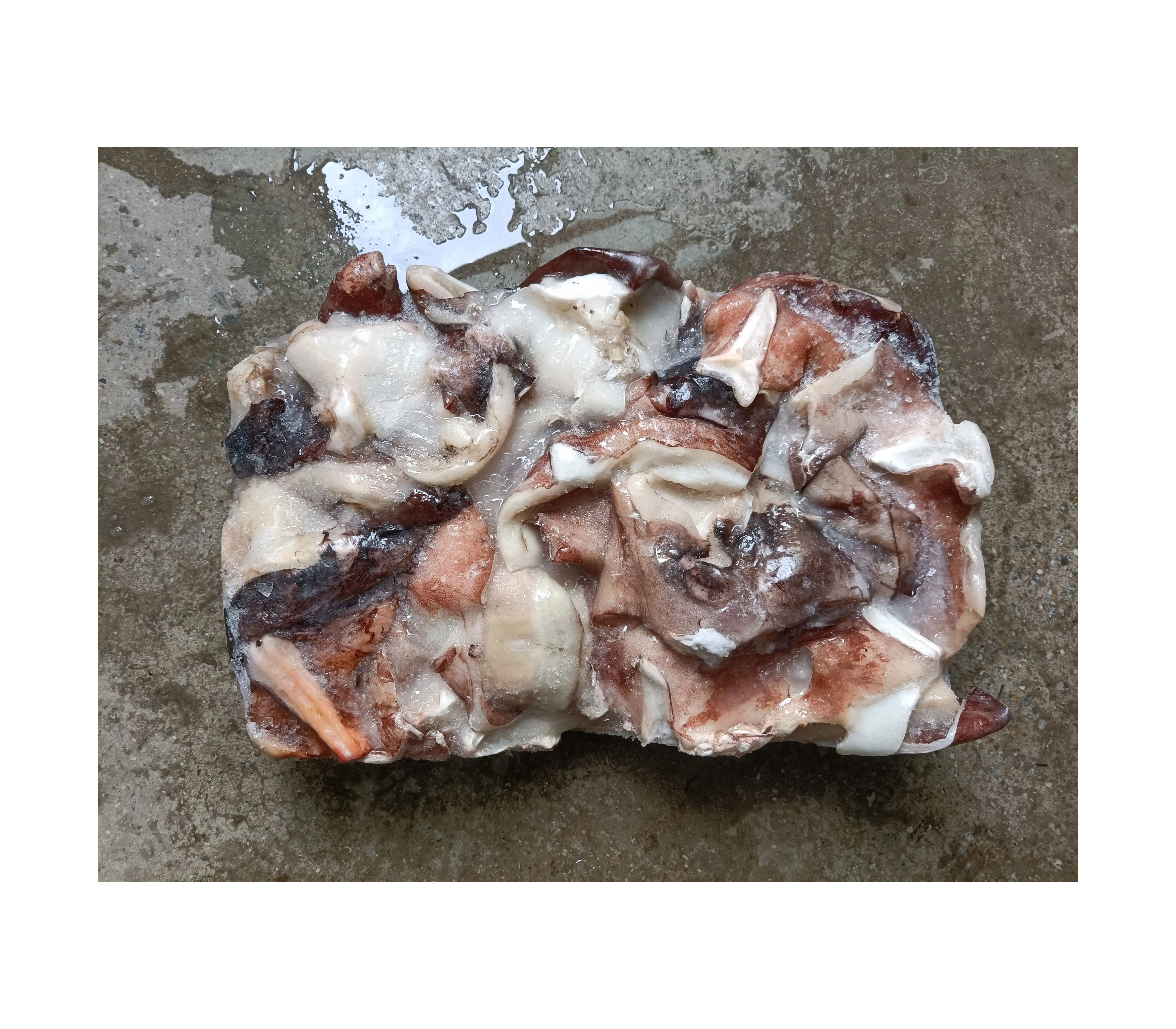 F103 Новое поступление Высококачественная замороженная гигантская Шея кальмара 500 г + замороженная Шея кальмара