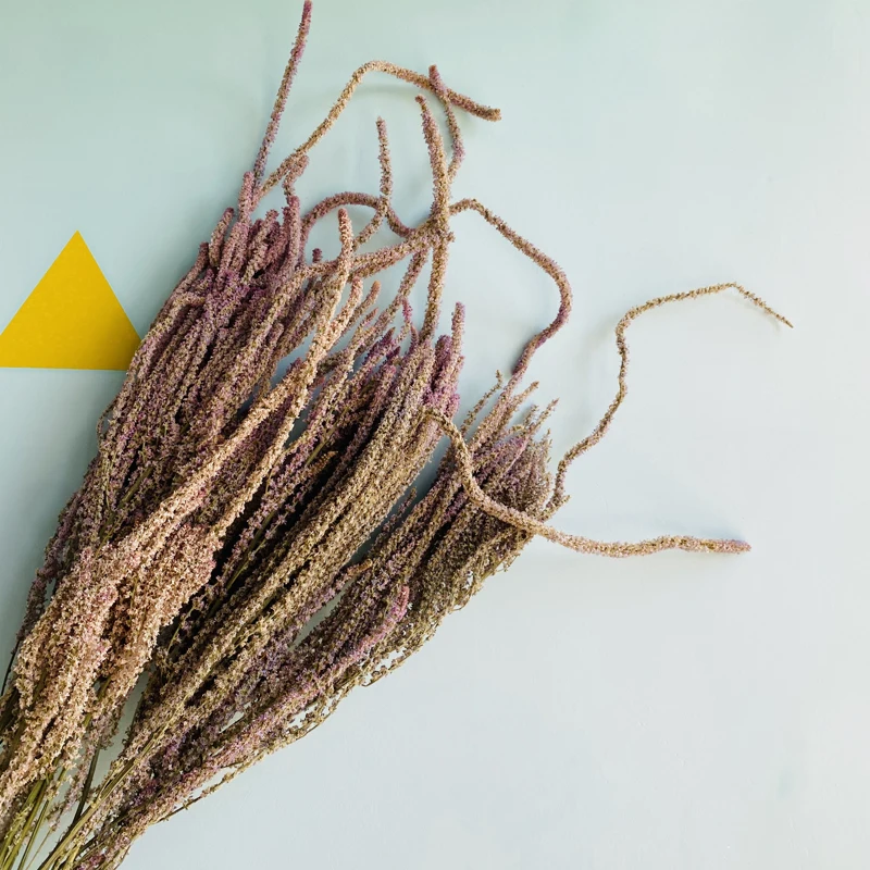 
2021 New Flower Shop Popular Yunnan Hot-selling Dried Amaranth For Wedding Home Decoration 