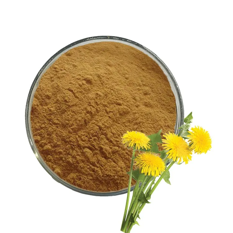 AUVO hot sell dandelion root extract 5% flavone natural dandelion extract powder