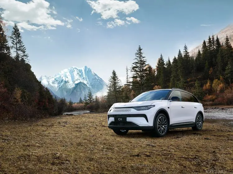 In stock TOP Electric Car SUV Sports Vehicle   Leapmotor  C11 Pure Electric 23 650km 650 Rear Drive Smart Edition For sale