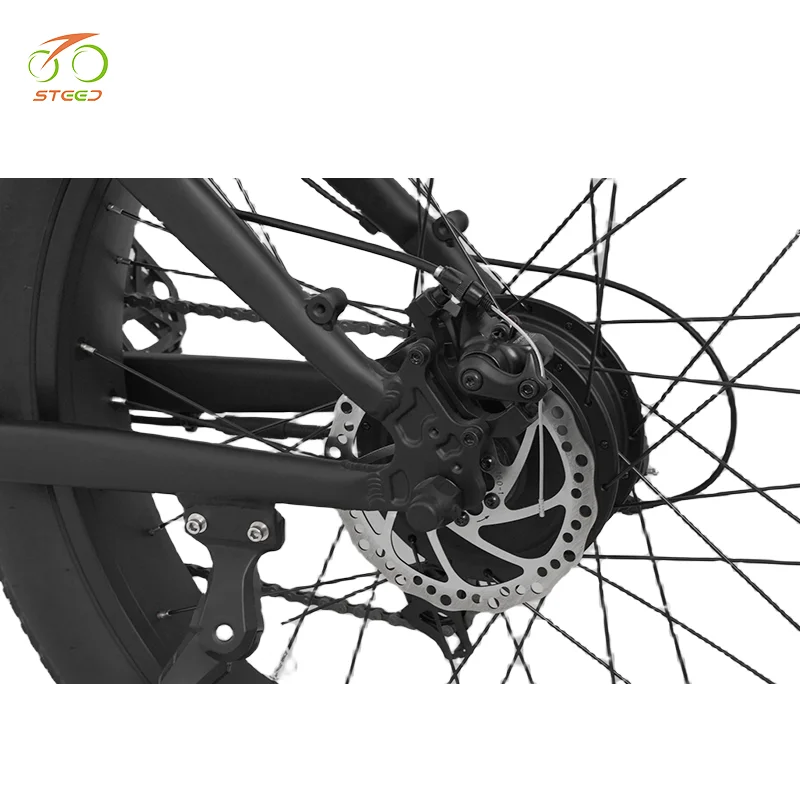 Steed mountain e-bike with dual battery electric foldable bicycle