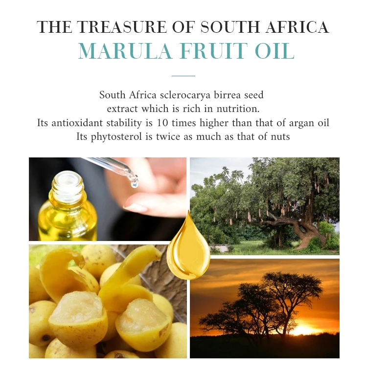 In Stock Marula Soul Hotel Toilet Bath Sets Hotel Bathroom Guest Room Toiletries Amenities 5-Piece Set