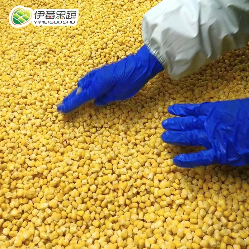 Price of oriental iqf frozen fresh white maize mini sweet corn manufacturers import and export boiled sweet corn 400g