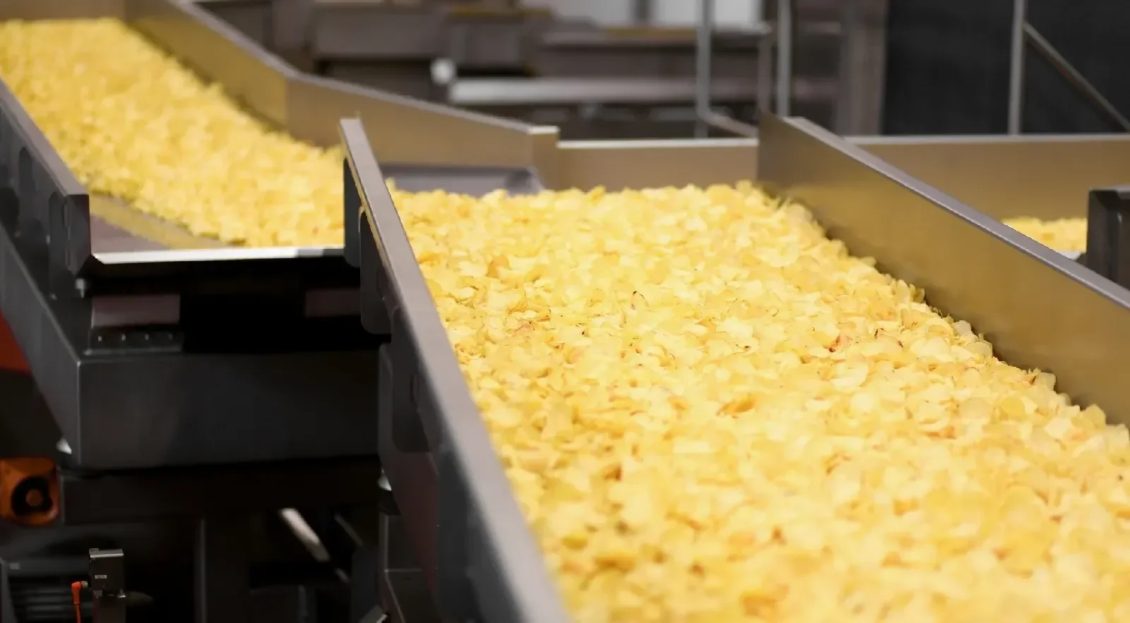 200 KG/H Fully Automatic Commercial Potato Chips Production Line Gas Heating Vegetable Making Machine for Fresh Potatoes