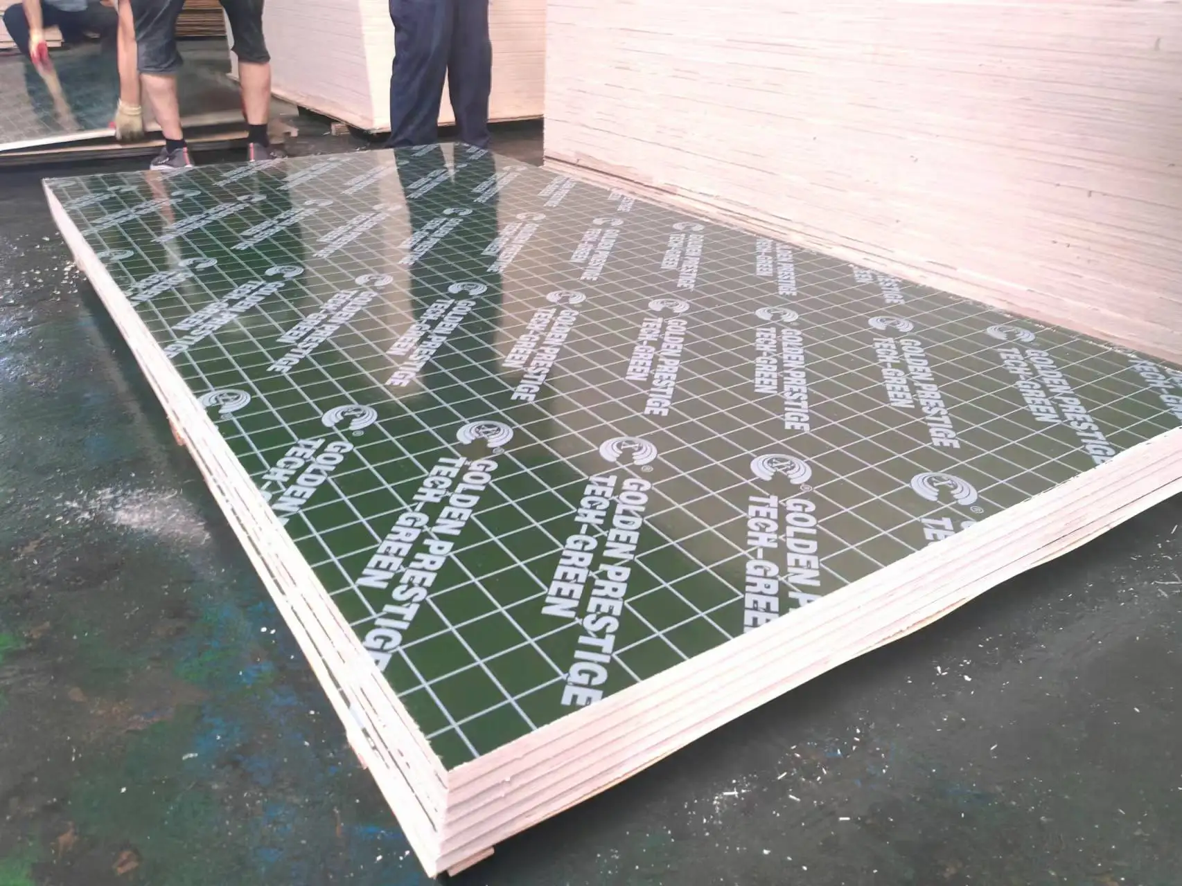 Best Price Shuttering Plywood Laminated PP Film Faced Plywood Sheets Waterproof  Laminated Plastic Plywood For Concrete
