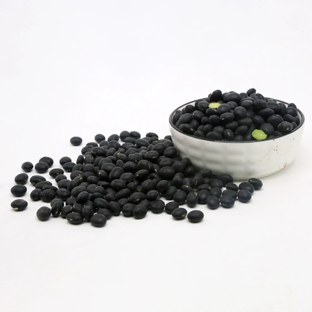 Widely Used Superior Quality Black Soya Bean Organic Black Beans