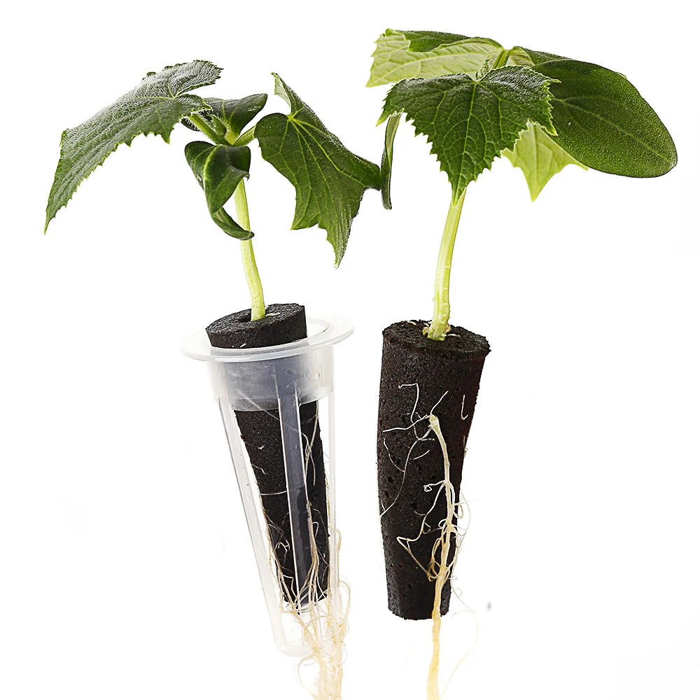 20 hole three-layer seedling pot with cover suitable for soilless hydroponic planting substrate