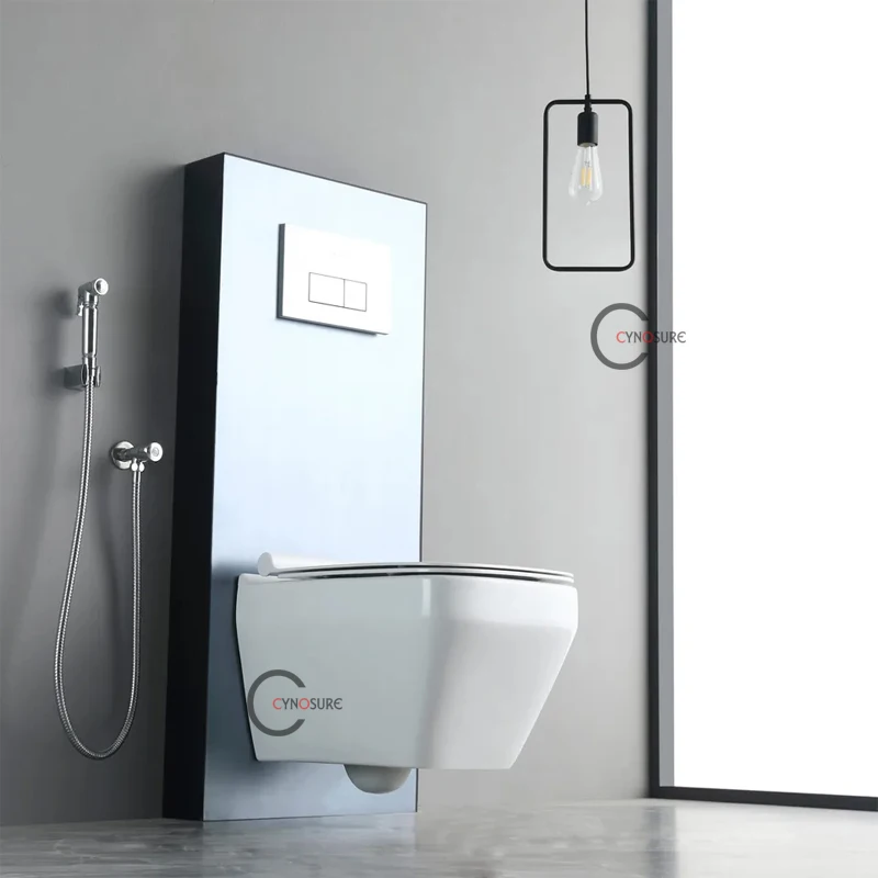 Custom High end European standard ceramic white one piece wall hung toilet wc