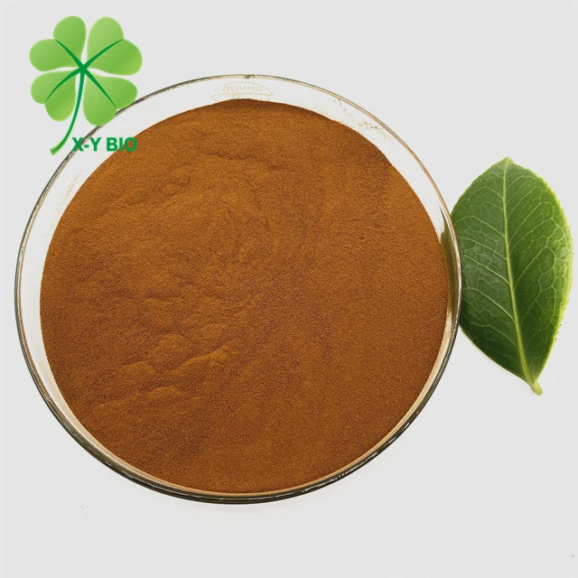 Best Quality Fulvic Acid Fertilizer Biochemical Fulvic Acid Powder