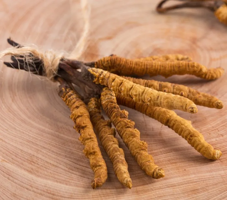 
Bulk sale Wild Natural tibet cordyceps Best yarsagumba 