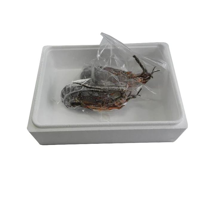 Safe and secure mie prefecture eat food fresh frozen seafood spiny lobster
