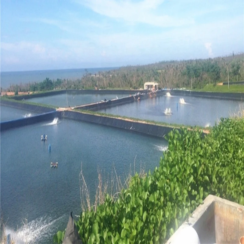 Пруд Лайнер Индия рыбы пруд вкладыши для креветок прудов