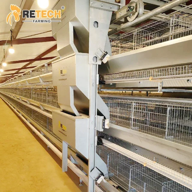 Poultry Farm Equipment 4 Tier H Type Fully Automatic Battery Layer Chicken Cage with egg collecting system