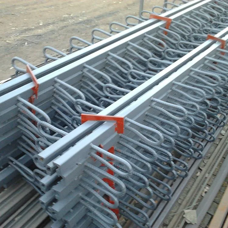 
China Supplier Ruida Modular/Elastomer Rubber/TST Bridge Expansion Joint 