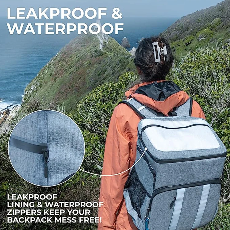 Factory Direct Supply Cooler Backpack Aluminum Foil Leak Proof Cooler Bag Cooler Backpack With Insulated Meal