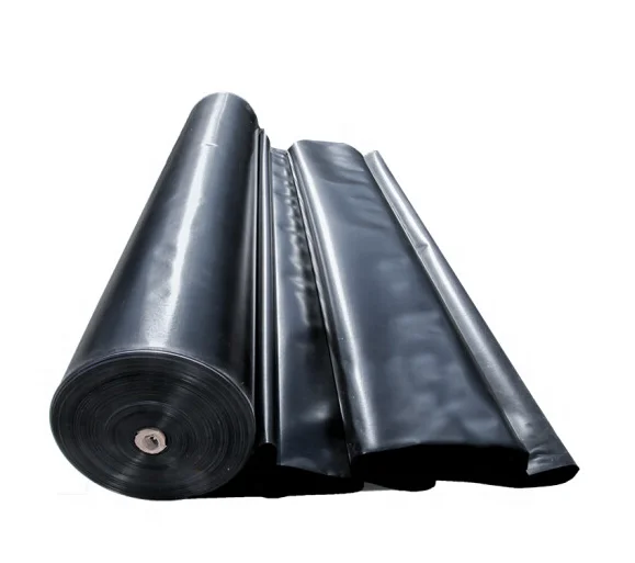 TIANYUE blown film extrusion extruder 100% compostable film blowing machine