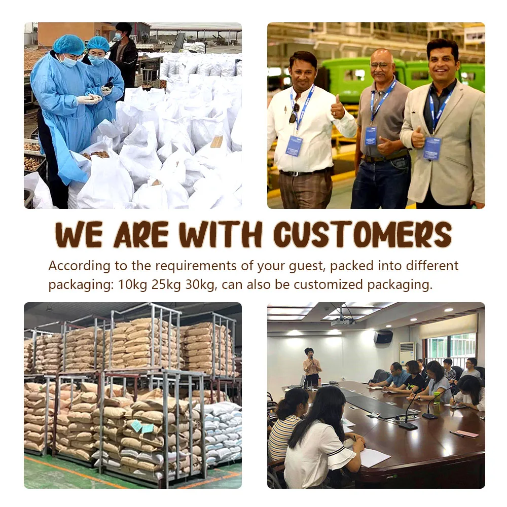 Dry aniseed chinese star anise stem  star spice price anise  organic verum Dried Star Anise moq 100kg anis Autumn