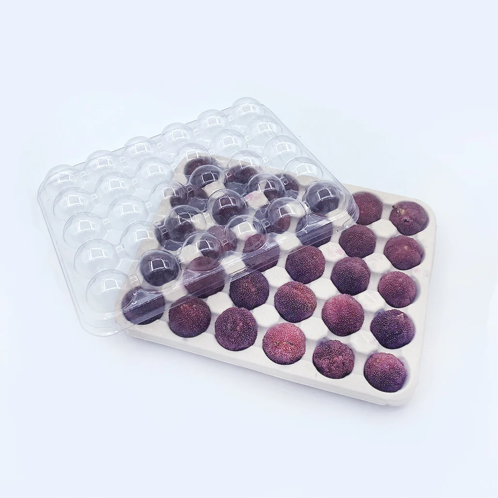 waxberry packaging plastics ODM OEM  fruit packaging plastics cheap tray with cover turnover fruit box packaging plastics