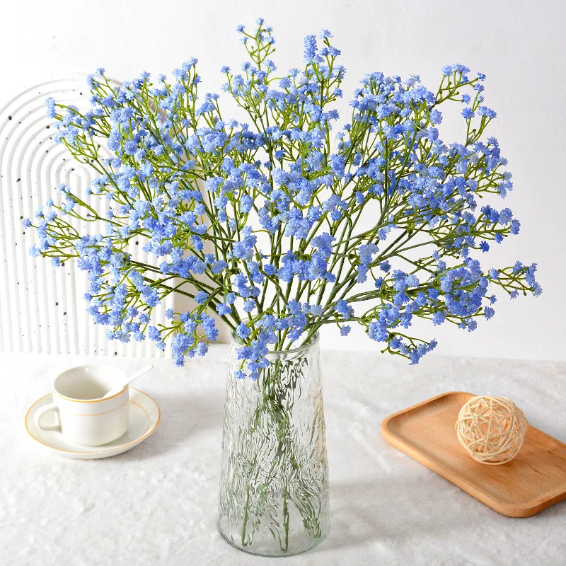 Gypsophila flower6