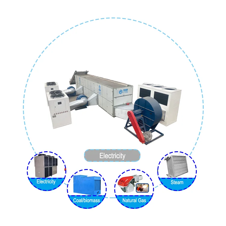 Industrial Mesh Belt Continuous Fruit and Vegetable Dryer