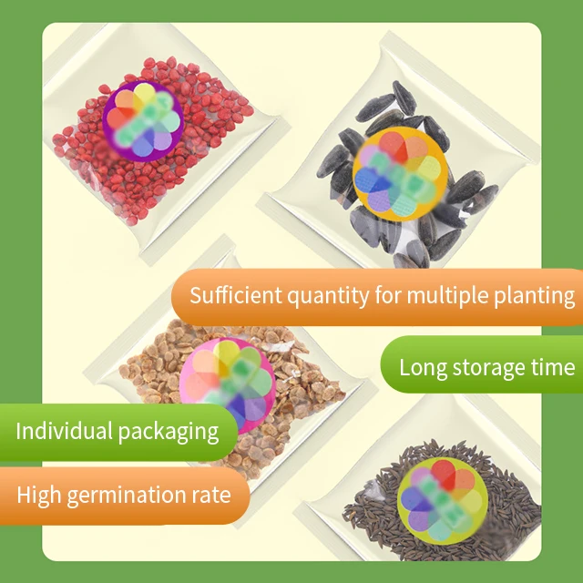 Small Garden Growing Plant Observation Experimental STEM Educational Toys DIY Science Kit Toy Farm House For Kids