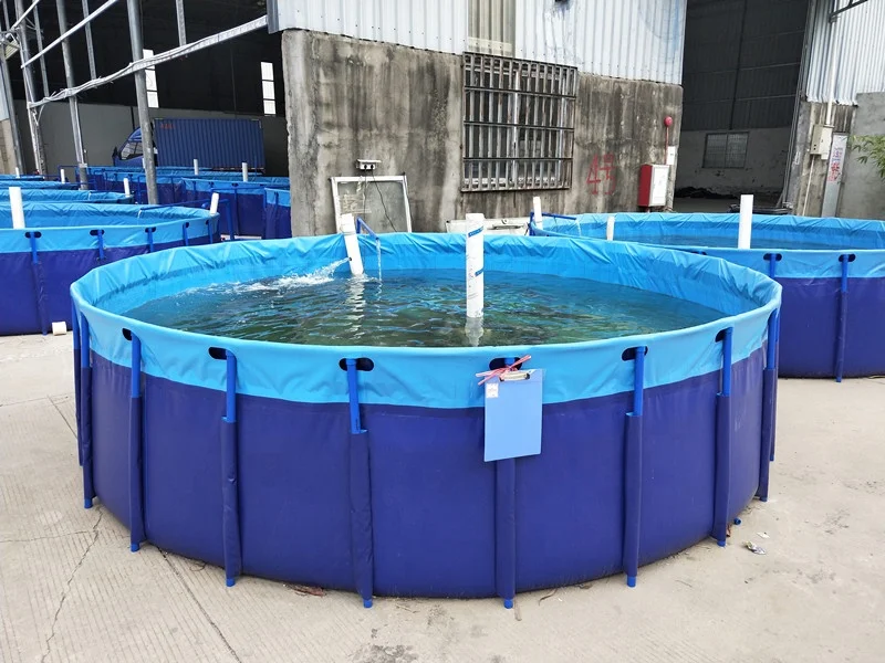 5m diameter metal frame swimming pool fishpond pool for sale