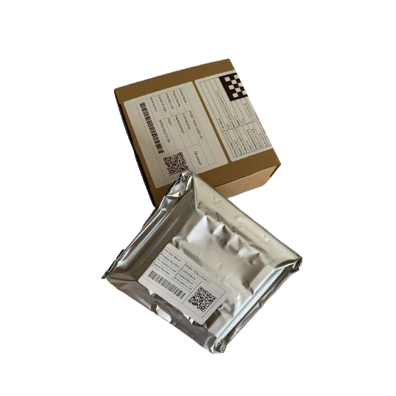 ECO SOLVENT I1600E1 PRINTHEAD