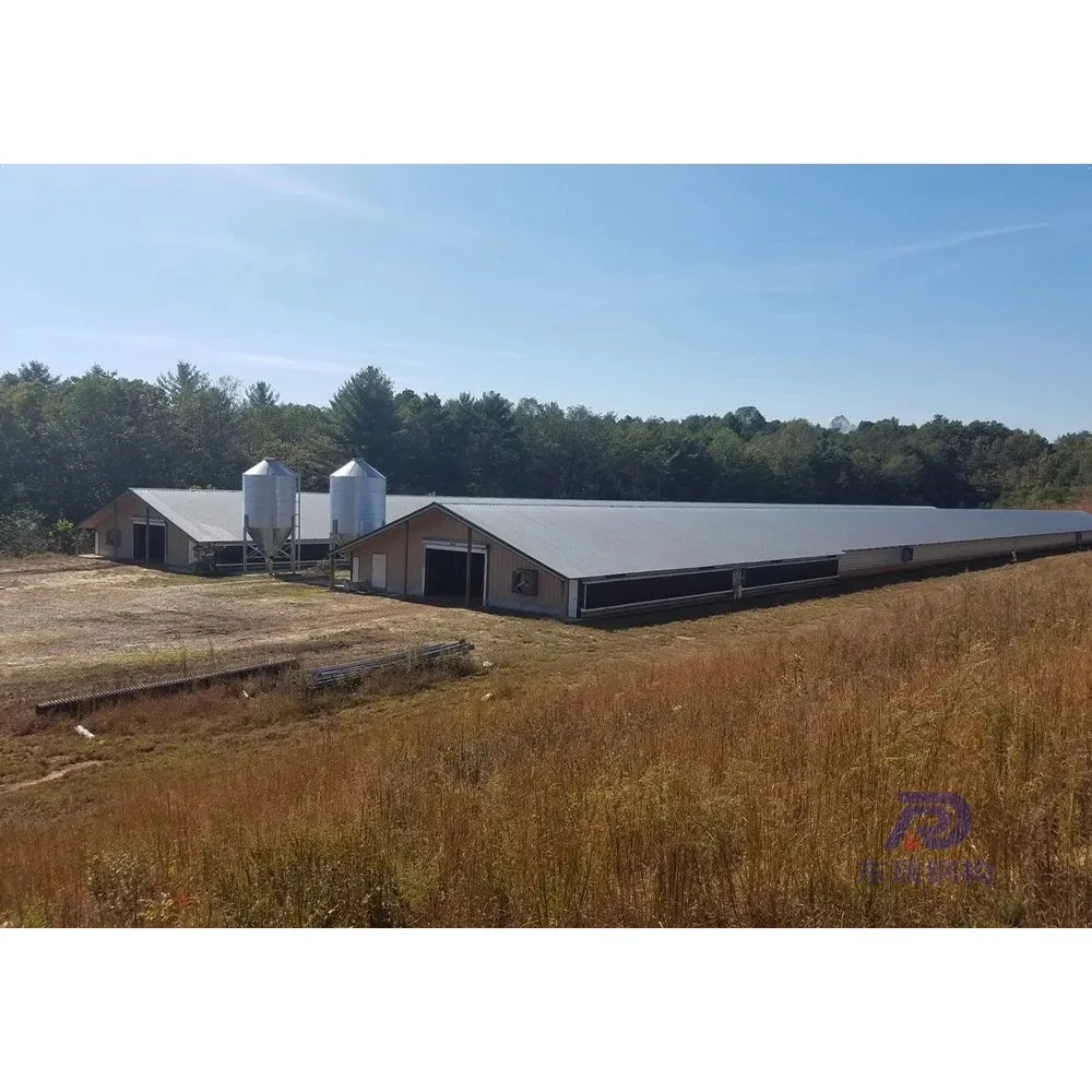 high quality steel structure sheep control shed poultry farming buildding cost in pakistan