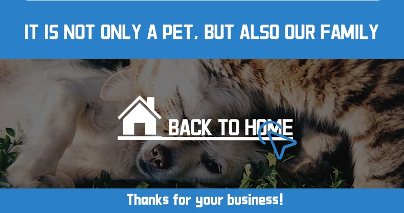 Tofu cat litter (29)