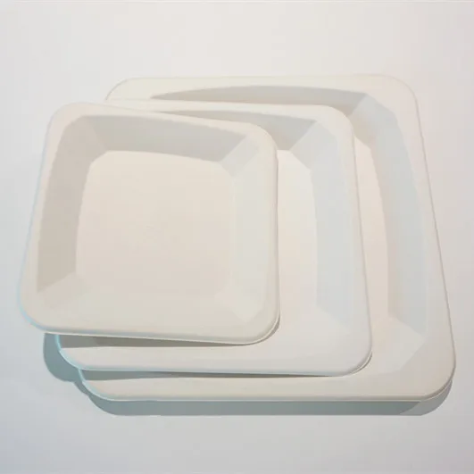 Biodegradable Bagasse Plate Bleached or Unbleached Multiple sizes